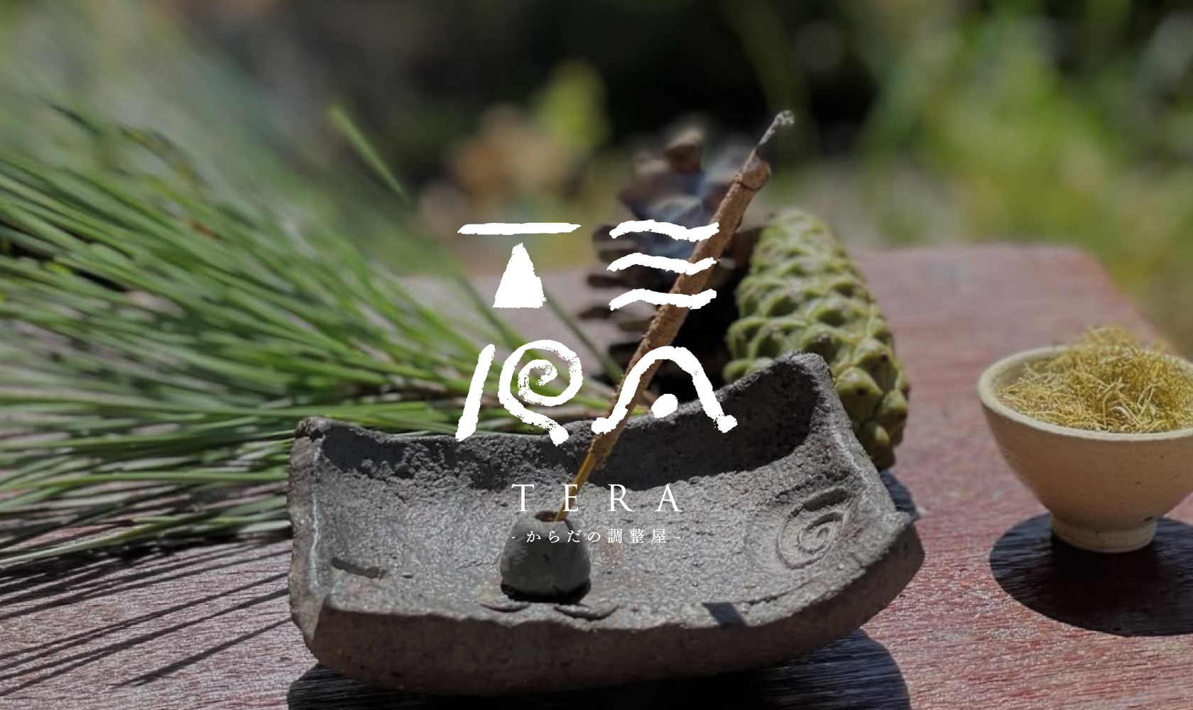 TERAロゴデザイン