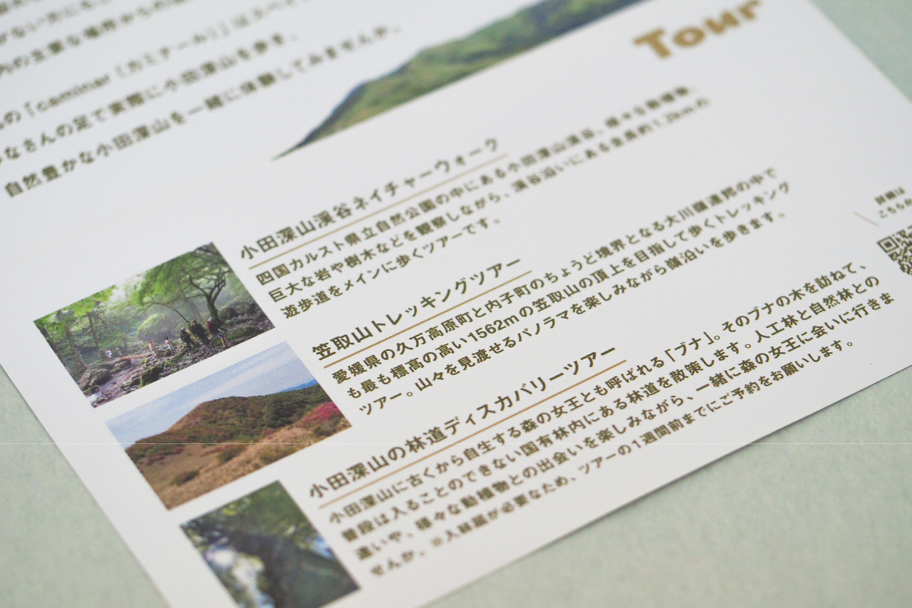 MIYAMA caminar