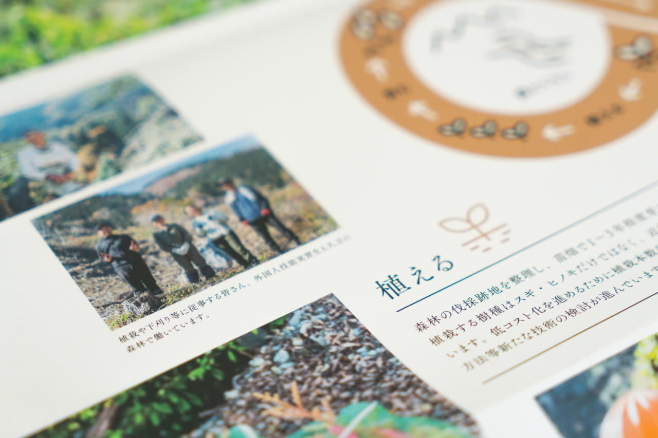 KUMA FORESTRY